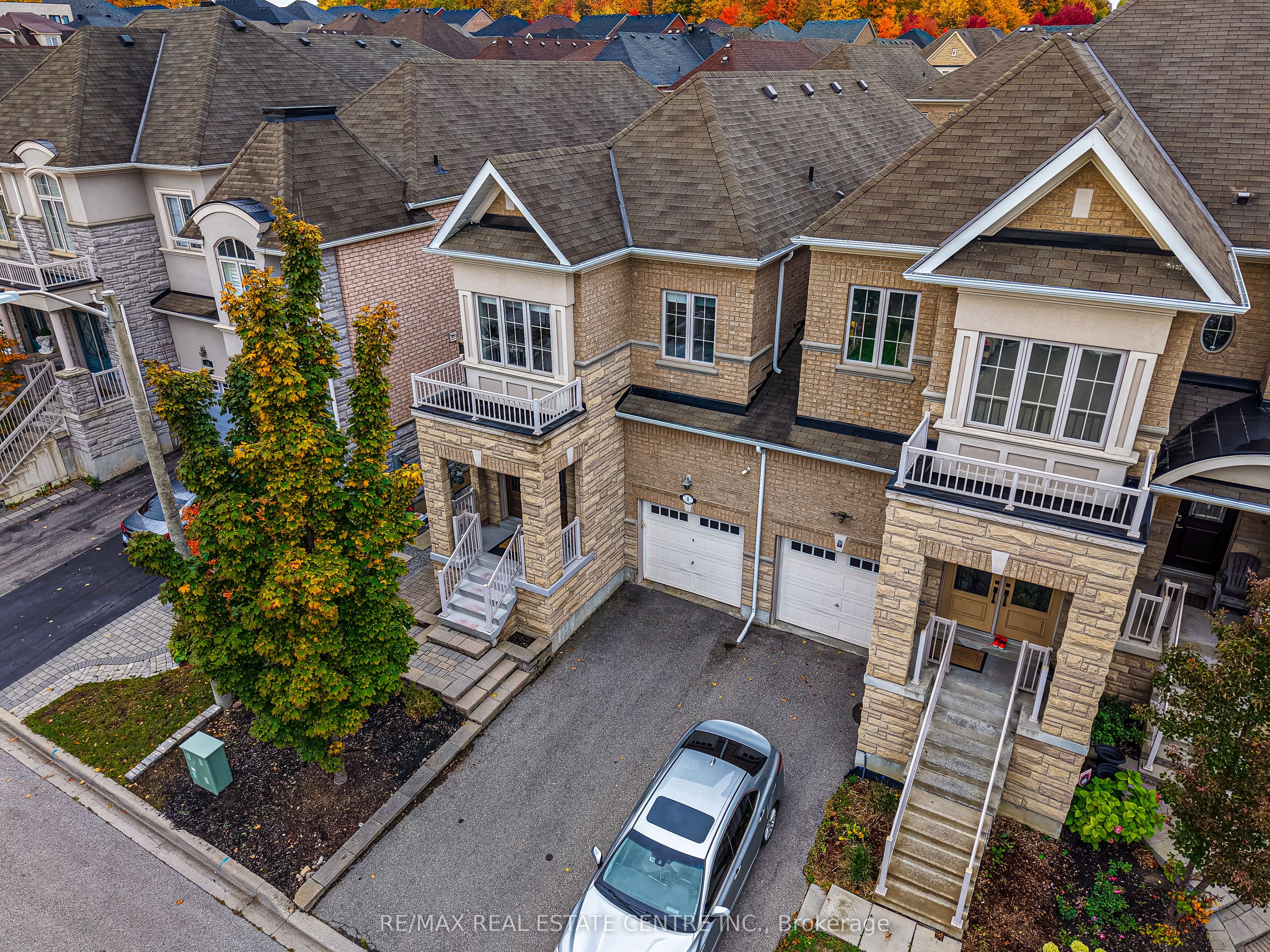 8 Bristlewood